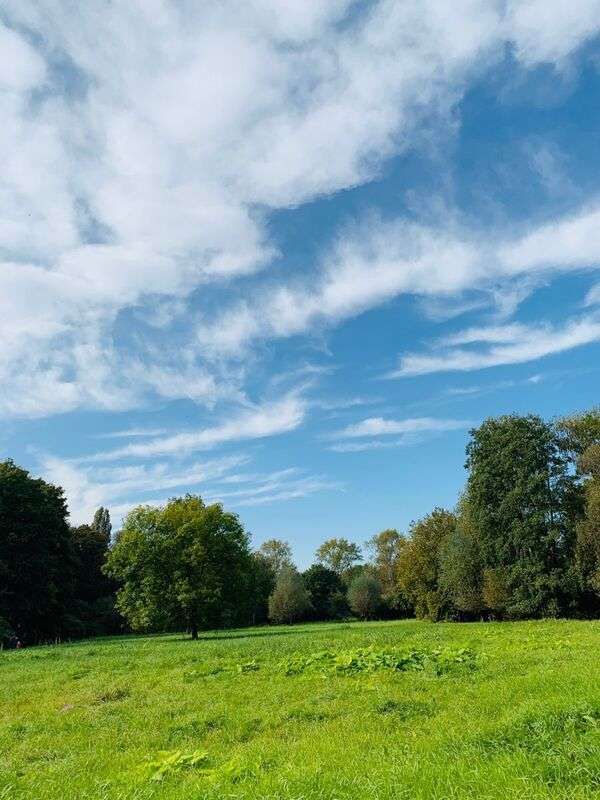 Peaceful green landscape with open sky and natural light